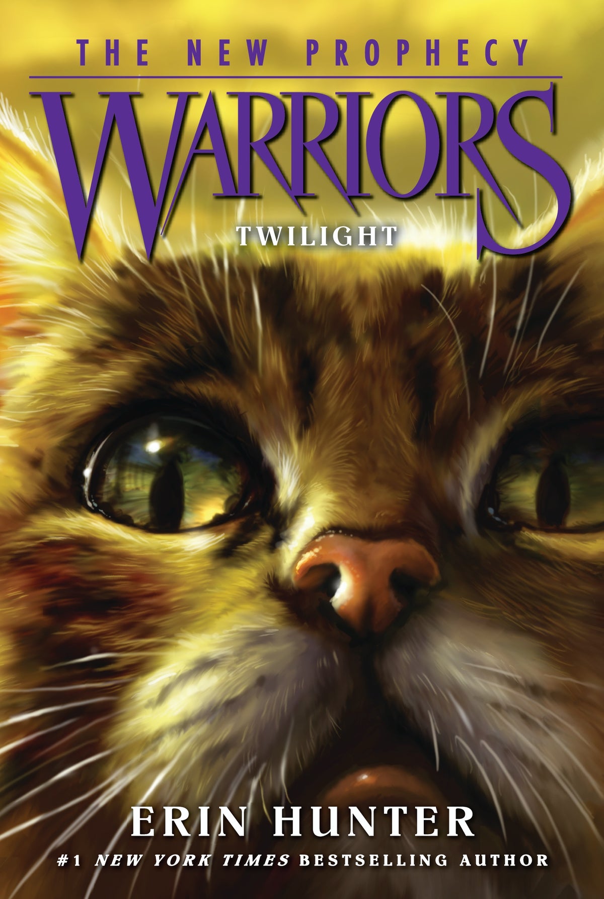 Warriors The New Prophecy Twilight Book