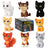 Warrior Cats 6" Mystery Plush - Series 2 Warrior Cats Store