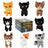 Warrior Cats 6" Mystery Plush - Series 1 Warrior Cats Store