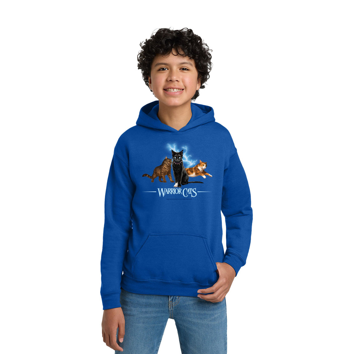 Warrior Cats Lightening Youth Hoodie (Scourge, Tigerstar & Tawnypelt)