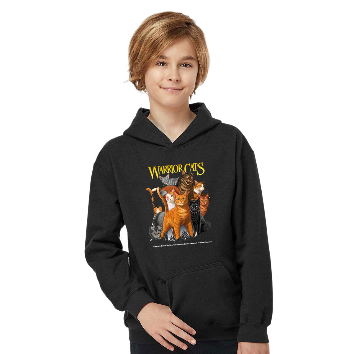 WARRIOR CATS CHARACTER ART HOODED SWEATSHIRT - ADULT & YOUTH