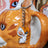 Brightheart Keychain Warriors Cats Store - USA