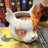 Brightheart Mug Warrior Cats Store