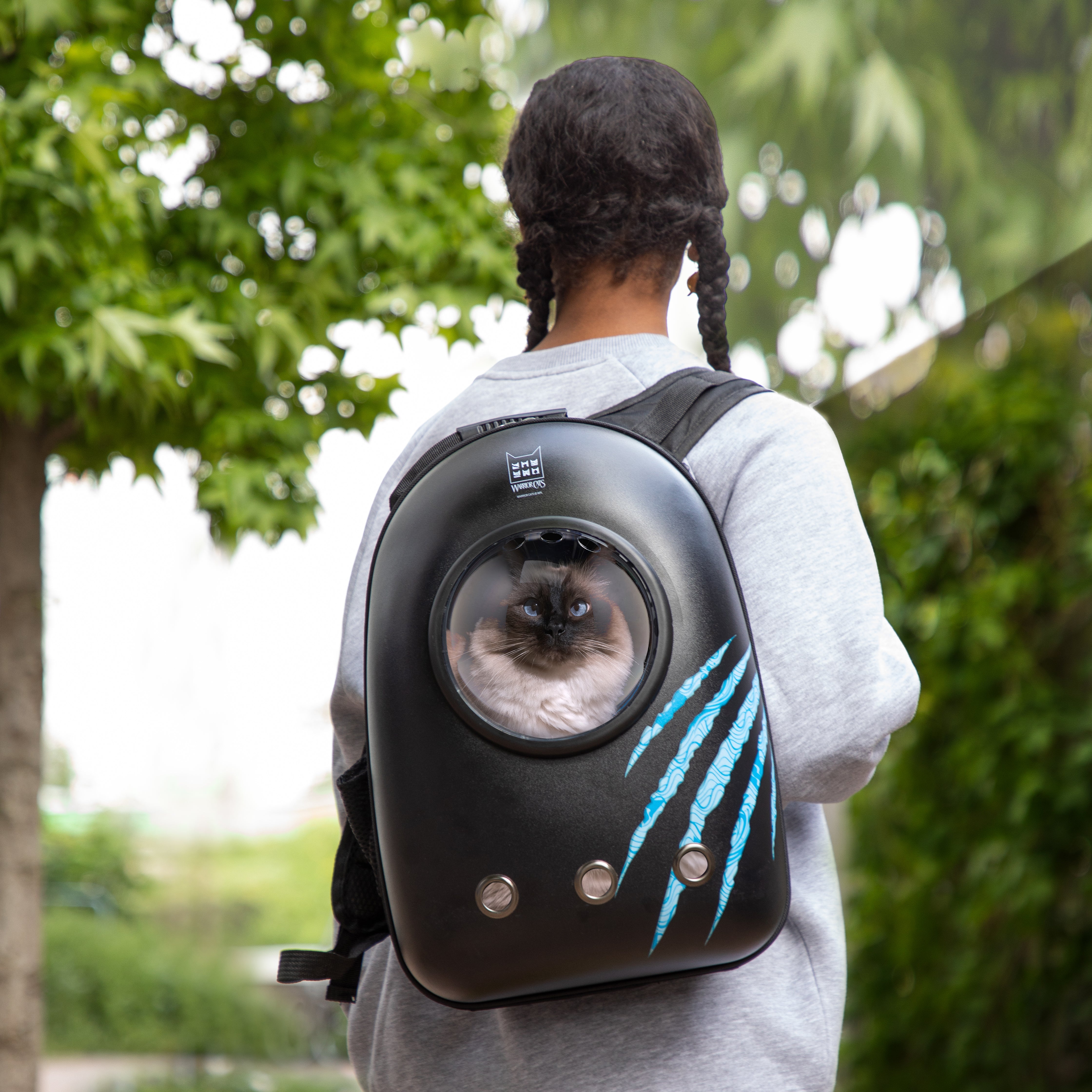Warrior Cats Scratch Cat Backpack Warrior Cats Store