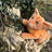 Lionblaze Large Plush Cat Warrior Cats Store