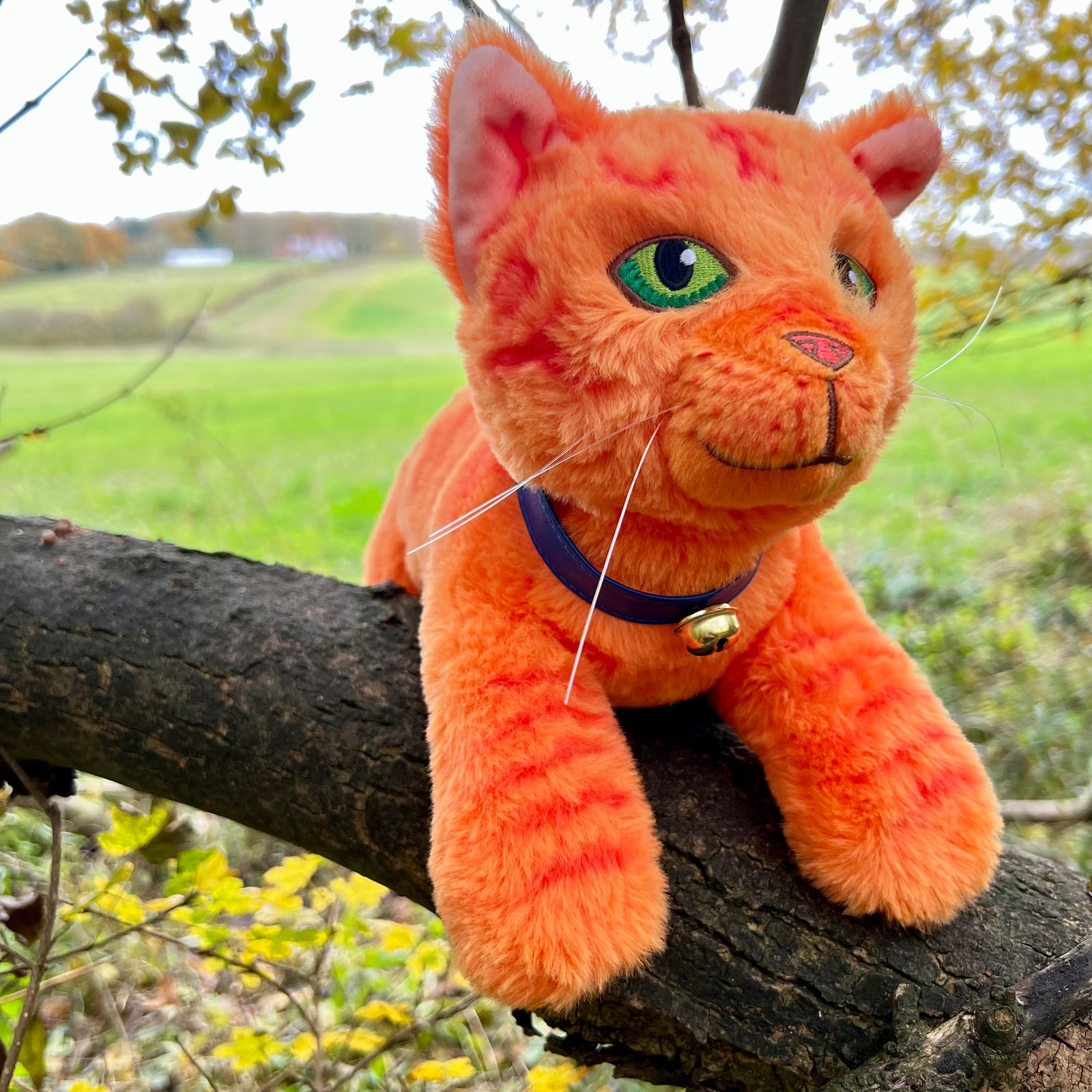Rusty Large Plush Cat Warriors Cats Store - USA