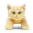 Sandstorm Large Plush Cat Warrior Cats Store