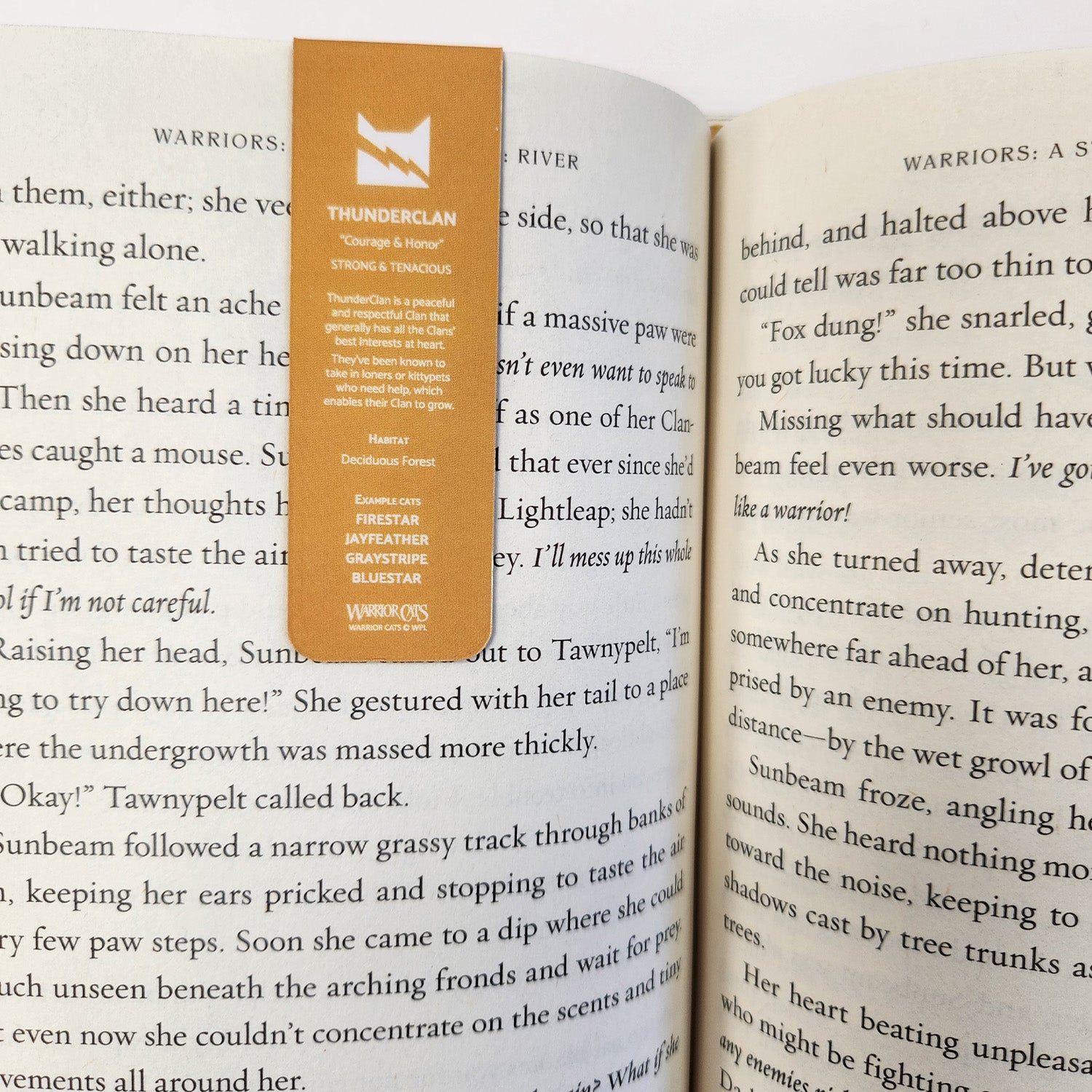 ThunderClan Epic Poster Magnetic Bookmark Warrior Cats Store