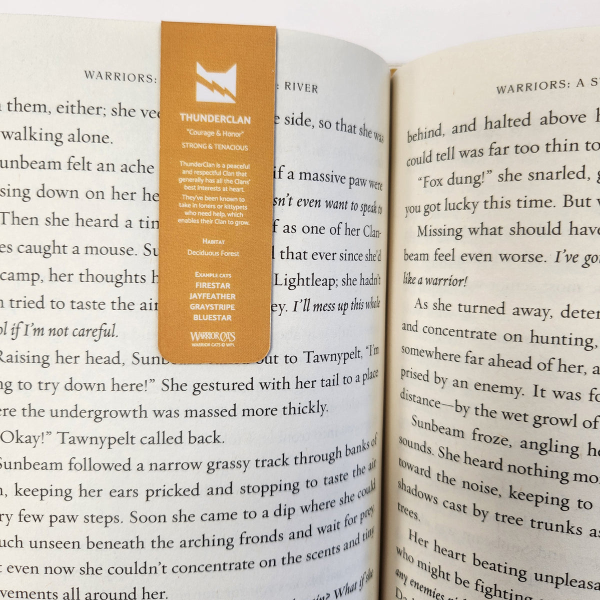 ThunderClan Epic Poster Magnetic Bookmark Warrior Cats Store