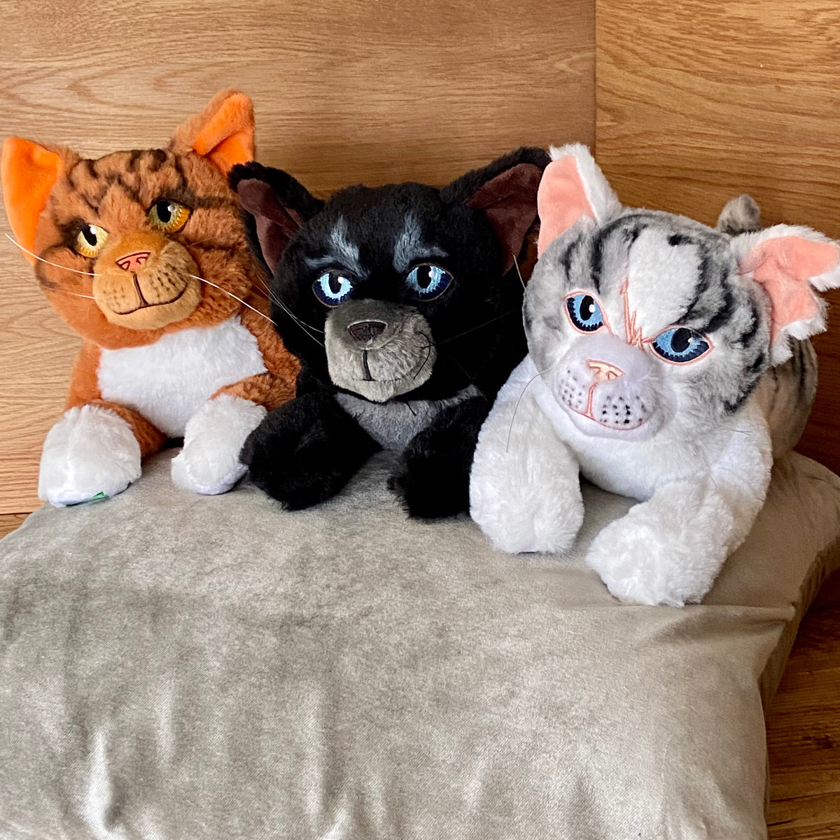 Bundle of 3 - Cinderpelt Ivypool Leafpool Large Plush Warriors Cats Store - USA