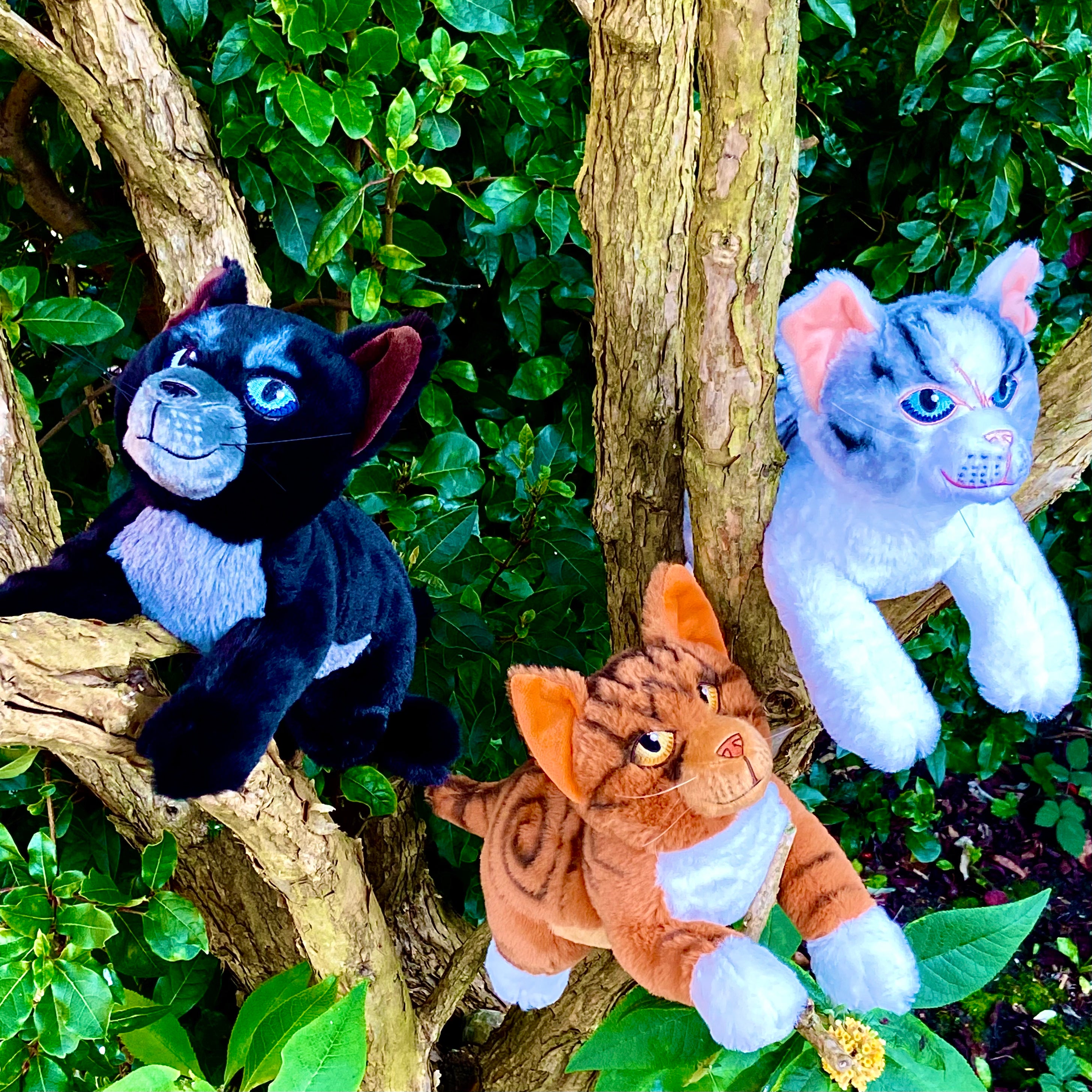 Bundle of 3 - Cinderpelt Ivypool Leafpool Large Plush Warriors Cats Store - USA