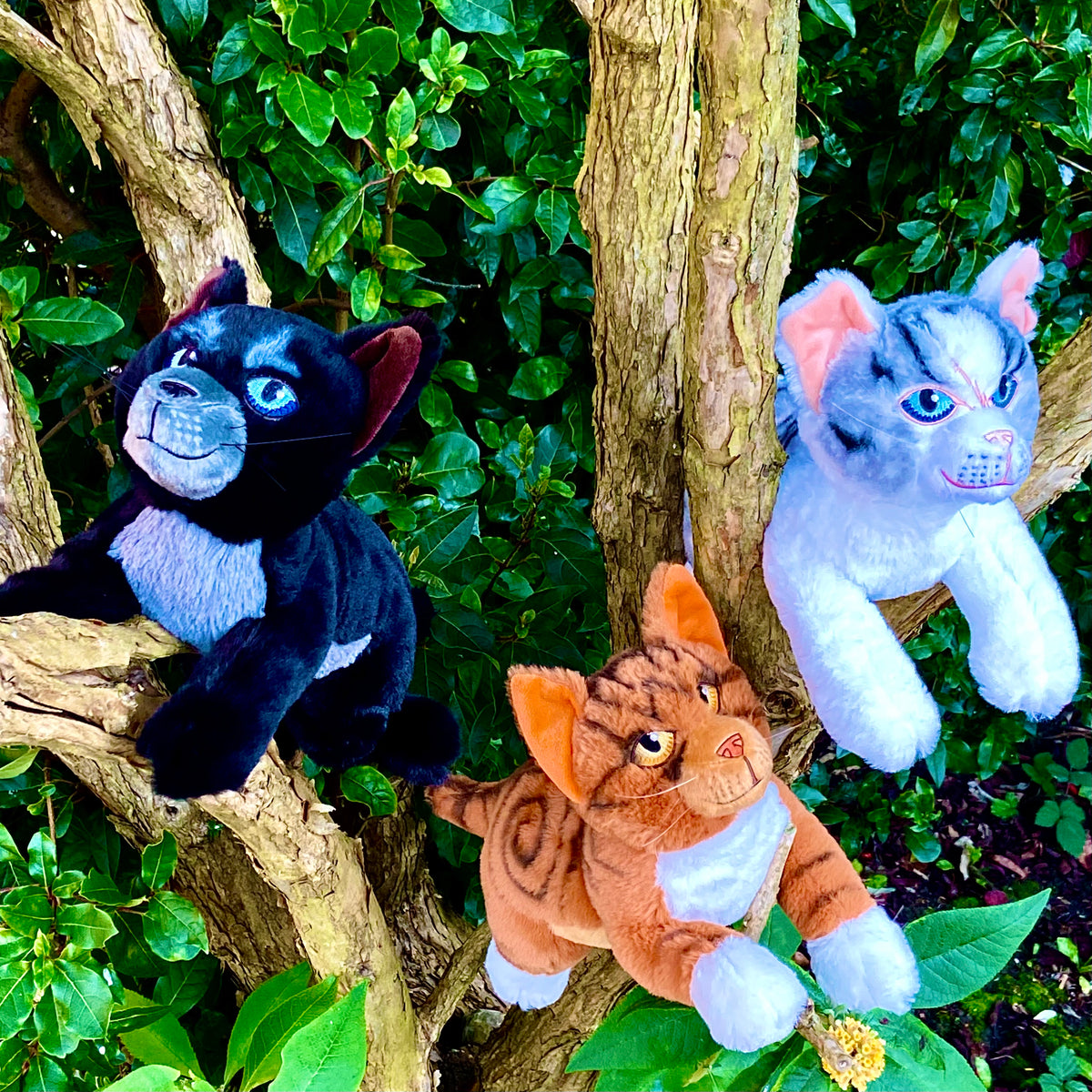 Bundle of 3 - Cinderpelt Ivypool Leafpool Large Plush Warriors Cats Store - USA
