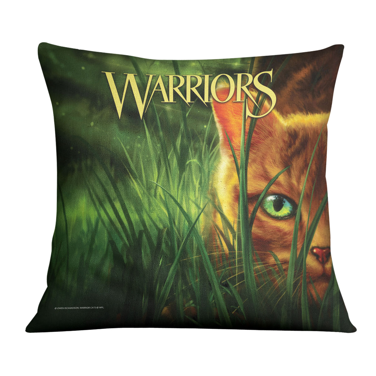 Into the Wild - 18x18 Cushion Warriors Cats Store - USA