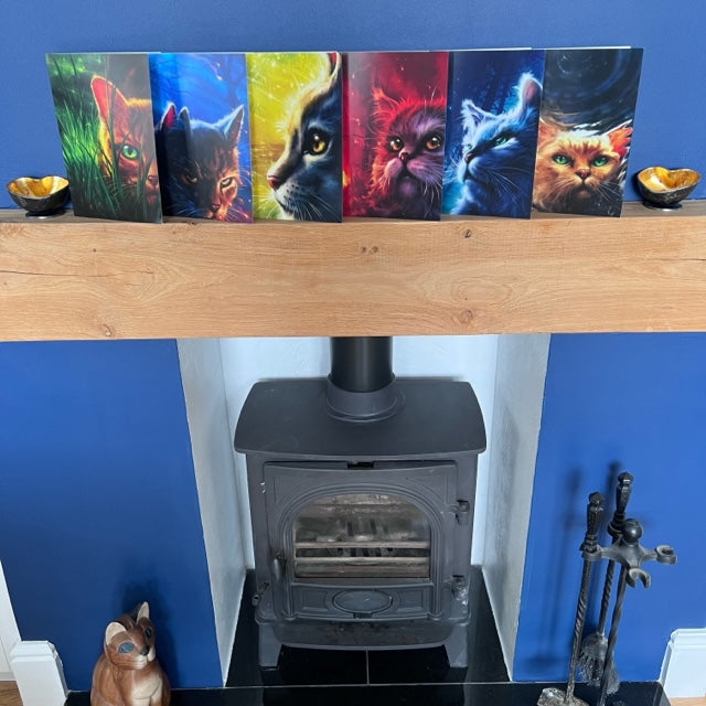 Warrior Cats Series 1 Card Set Warriors Cats Store - USA