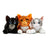 Bundle of 3 - Cinderpelt Ivypool Leafpool Large Plush Warriors Cats Store - USA