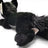 Cinderpelt Large Plush Cat Warriors Cats Store - USA