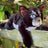 Cinderpelt Large Plush Cat Warriors Cats Store - USA
