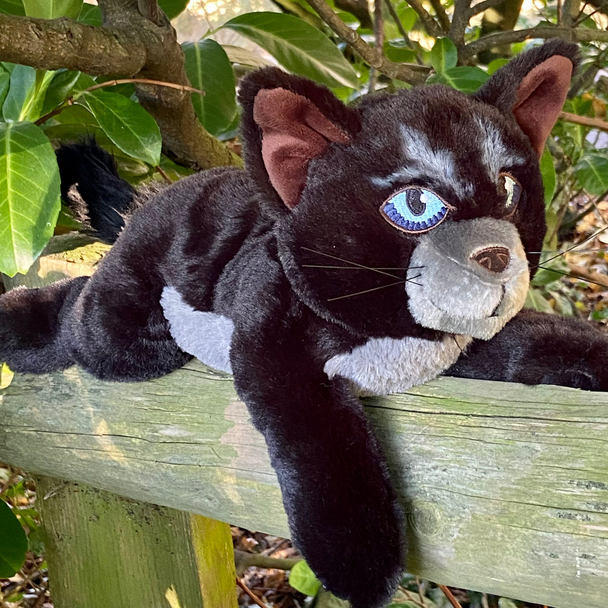 Cinderpelt Large Plush Cat Warriors Cats Store - USA