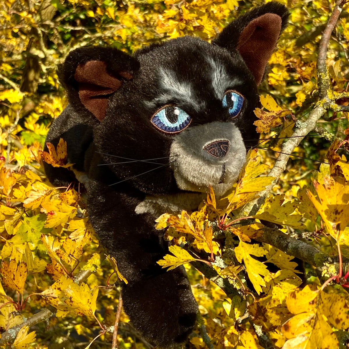 Cinderpelt Large Plush Cat Warriors Cats Store - USA