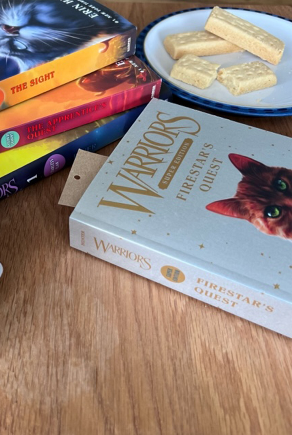 Warriors Super Edition Firestar's Quest Book