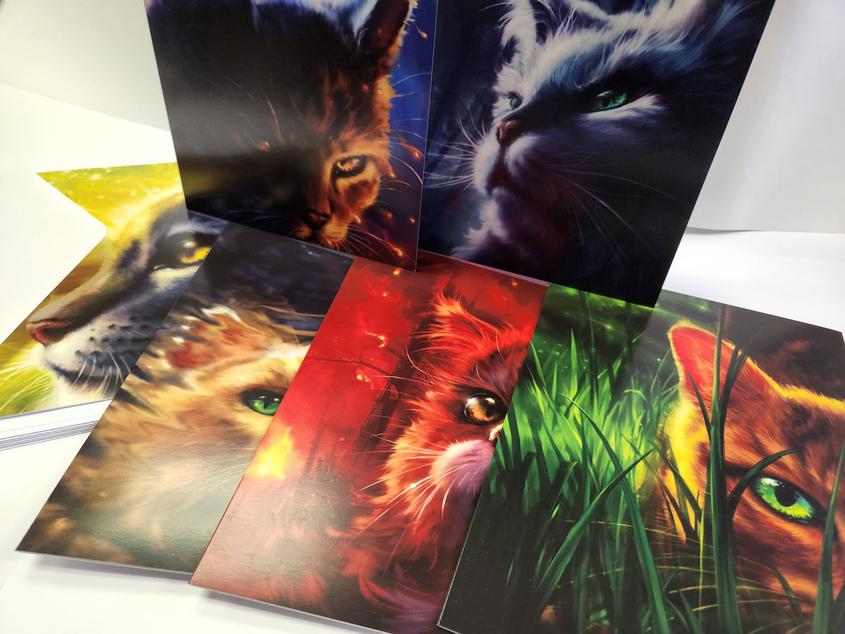 Warrior Cats Series 1 Card Set Warriors Cats Store - USA
