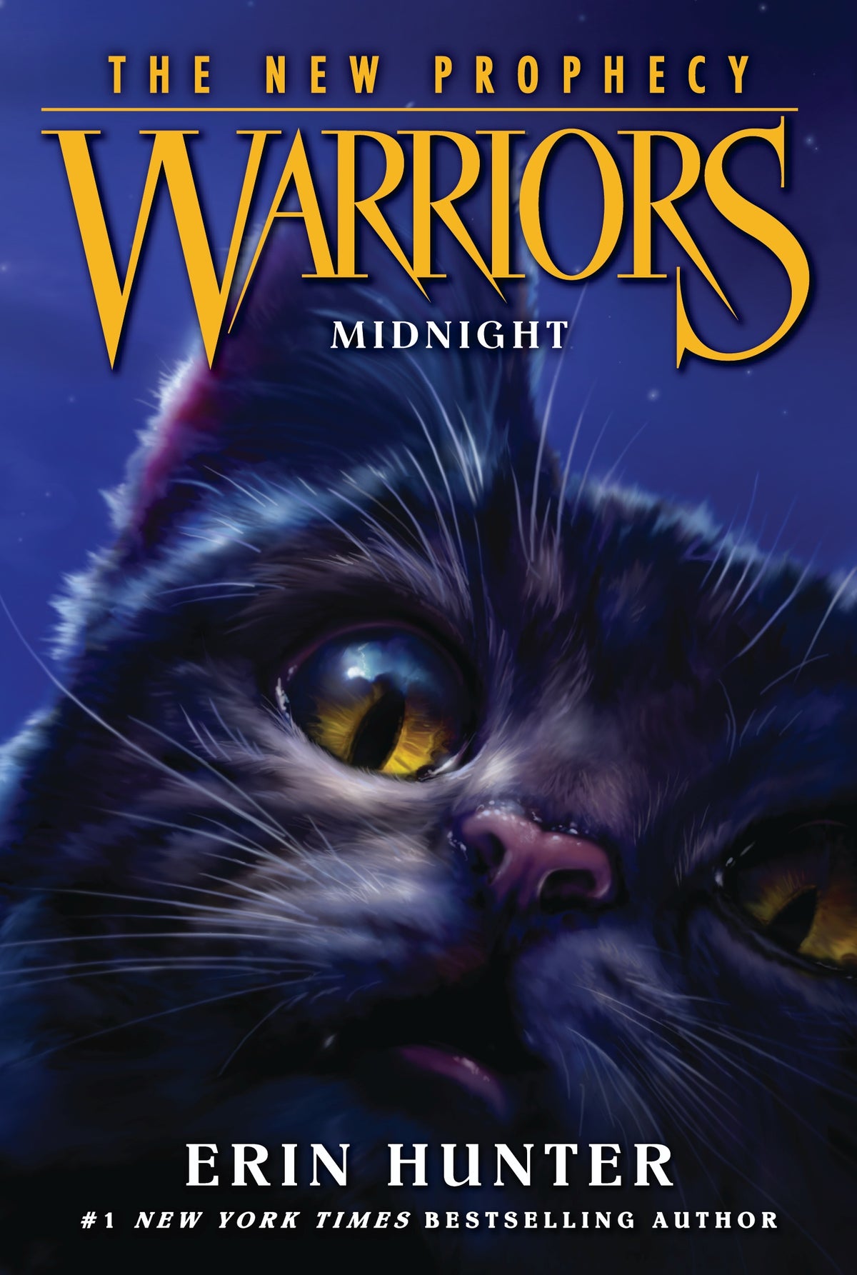 Warriors The New Prophecy Midnight Book