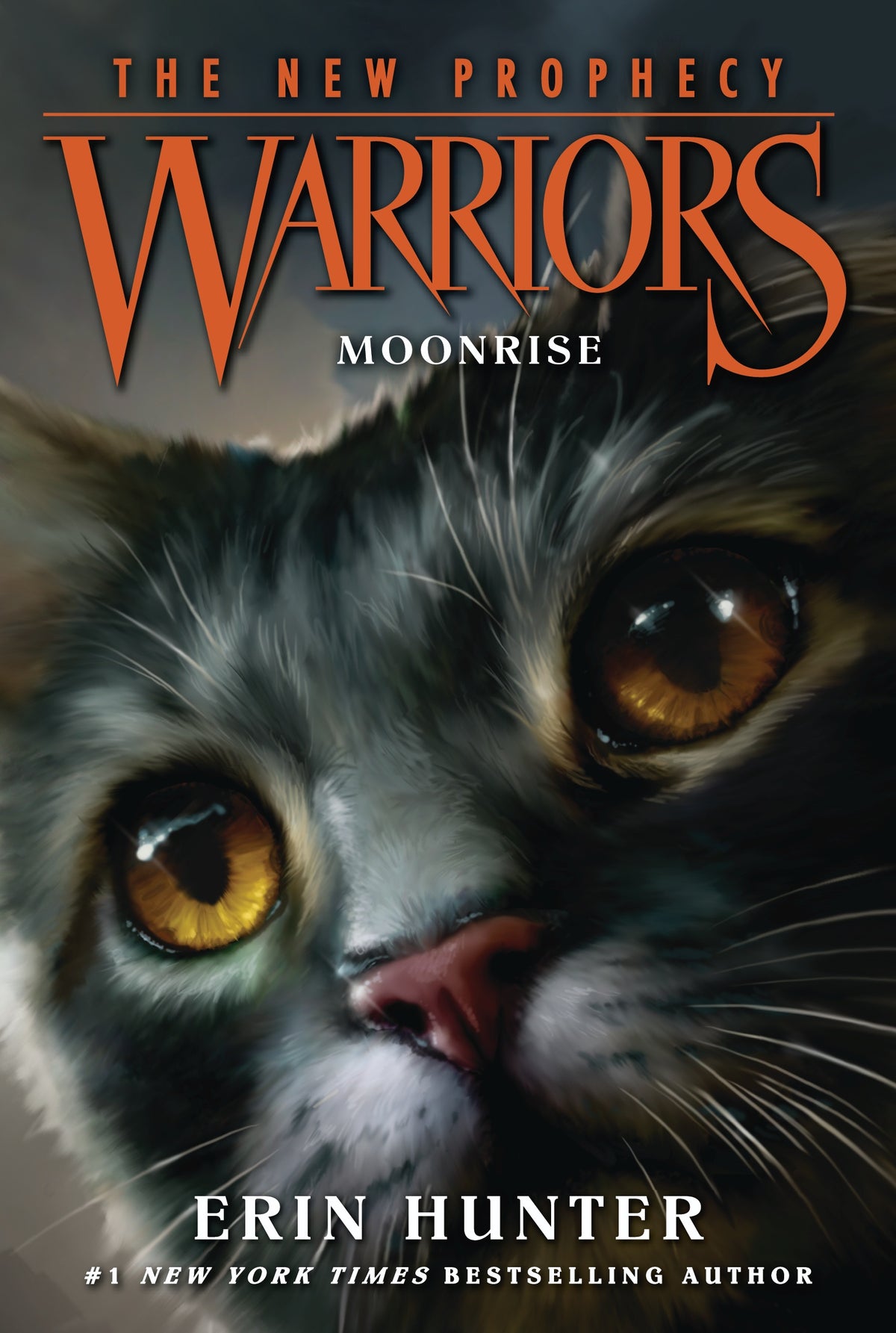 Warriors The New Prophecy Moonrise Book