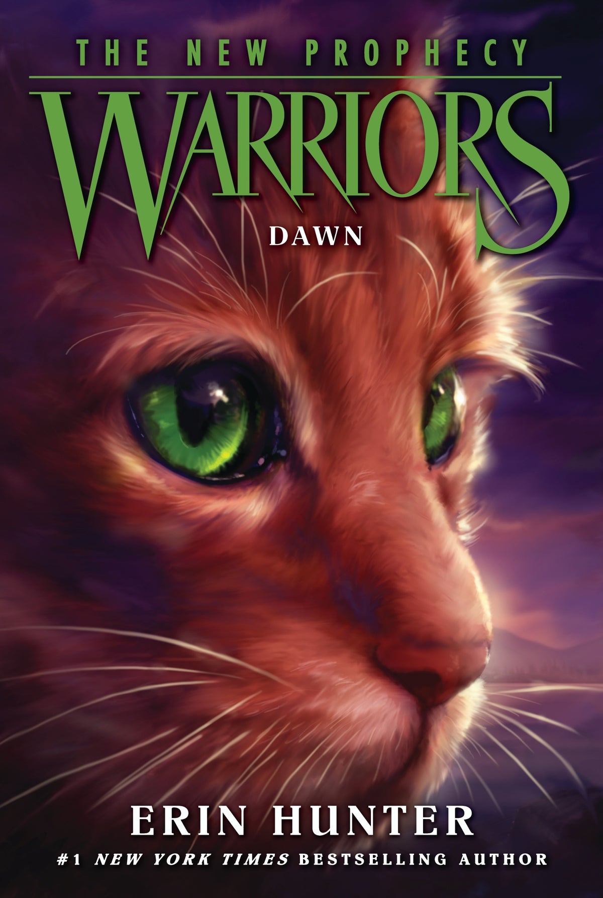 Warriors The New Prophecy Dawn Book