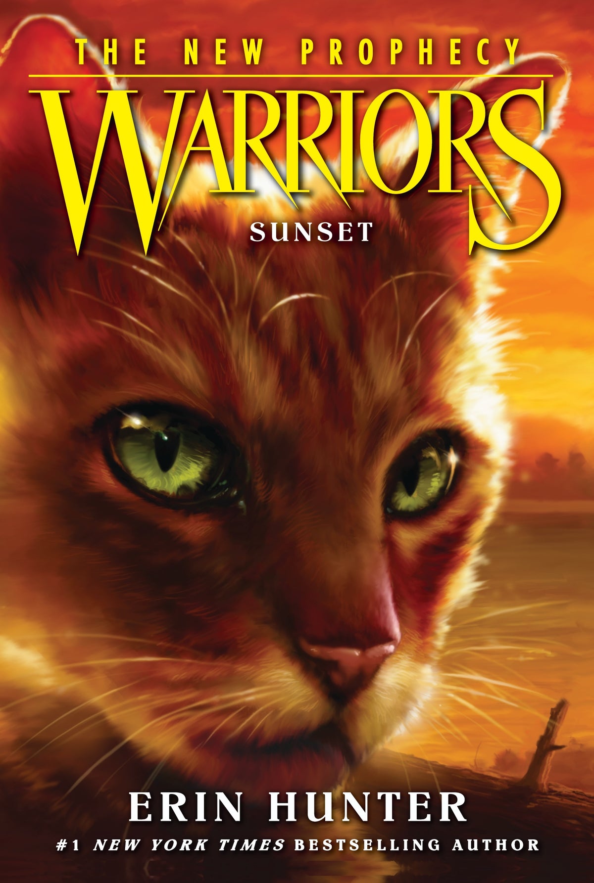 Warriors The New Prophecy Sunset Book