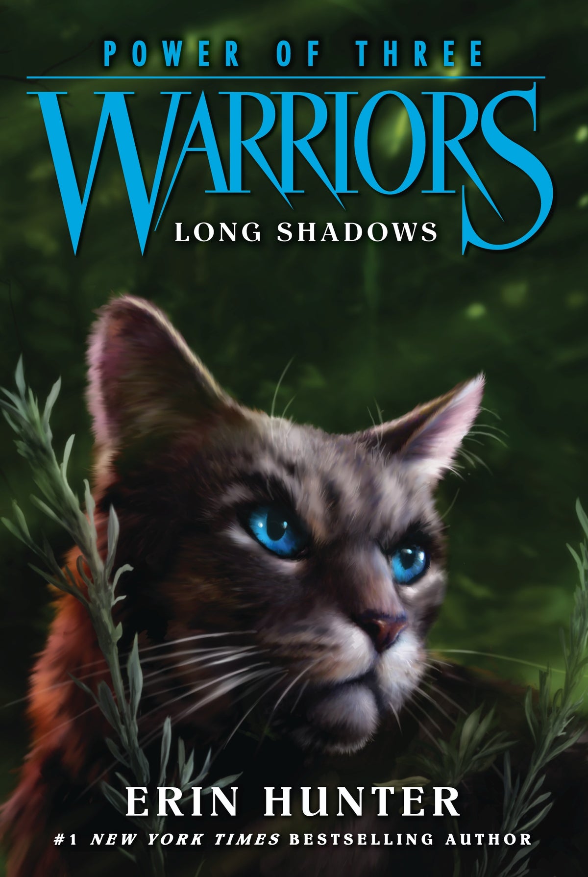 Warriors Power Of Three Long Shadows Book
