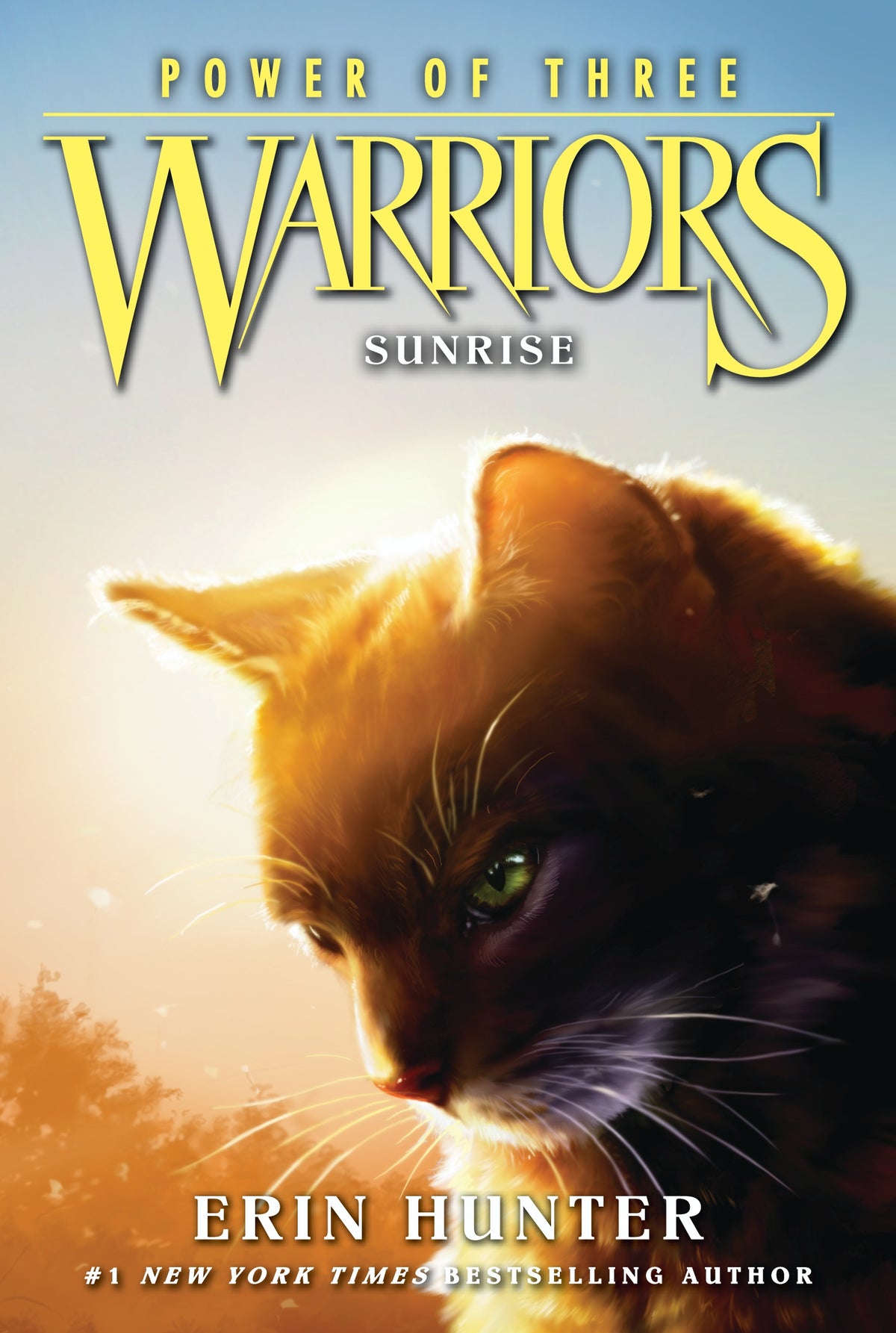 Warriors Power Of Three Sunrise Book