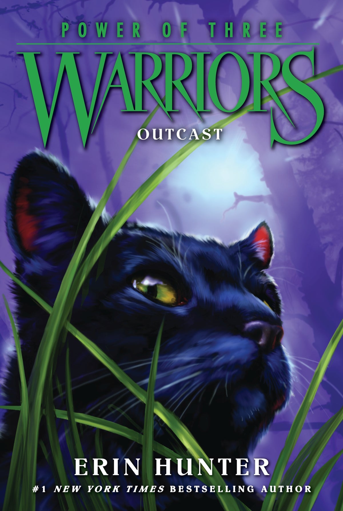 Warriors Power Of Three Outcast Book