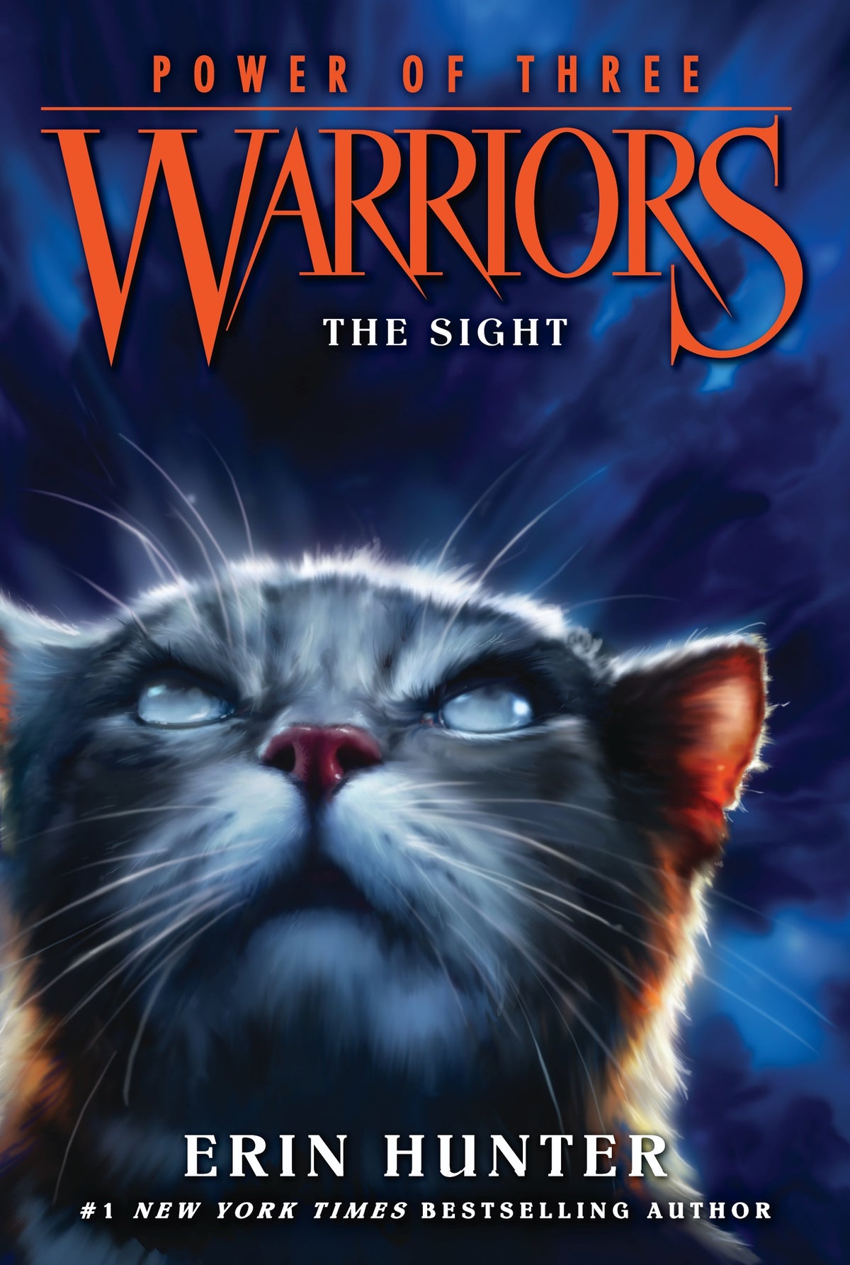 Warriors Power Of Three The Sight Book