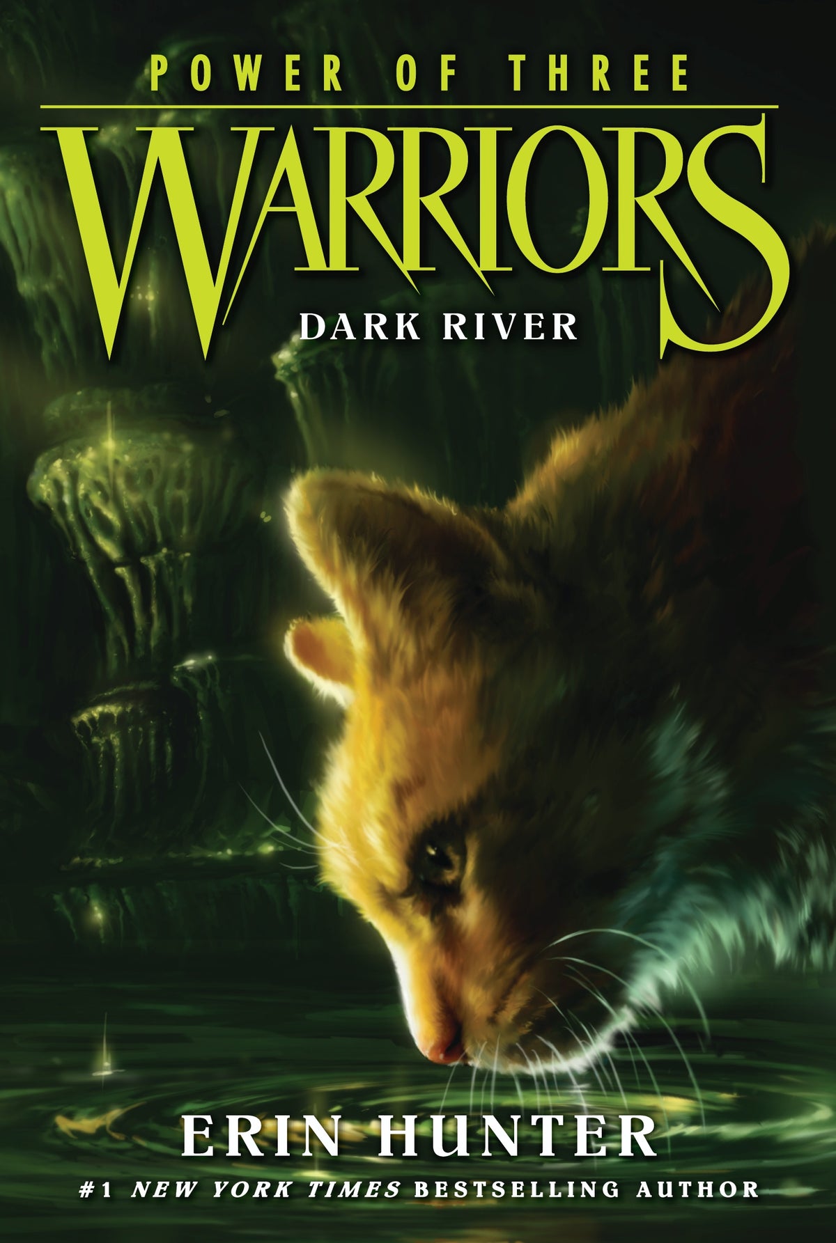 Warriors Power Of Three Dark River Book