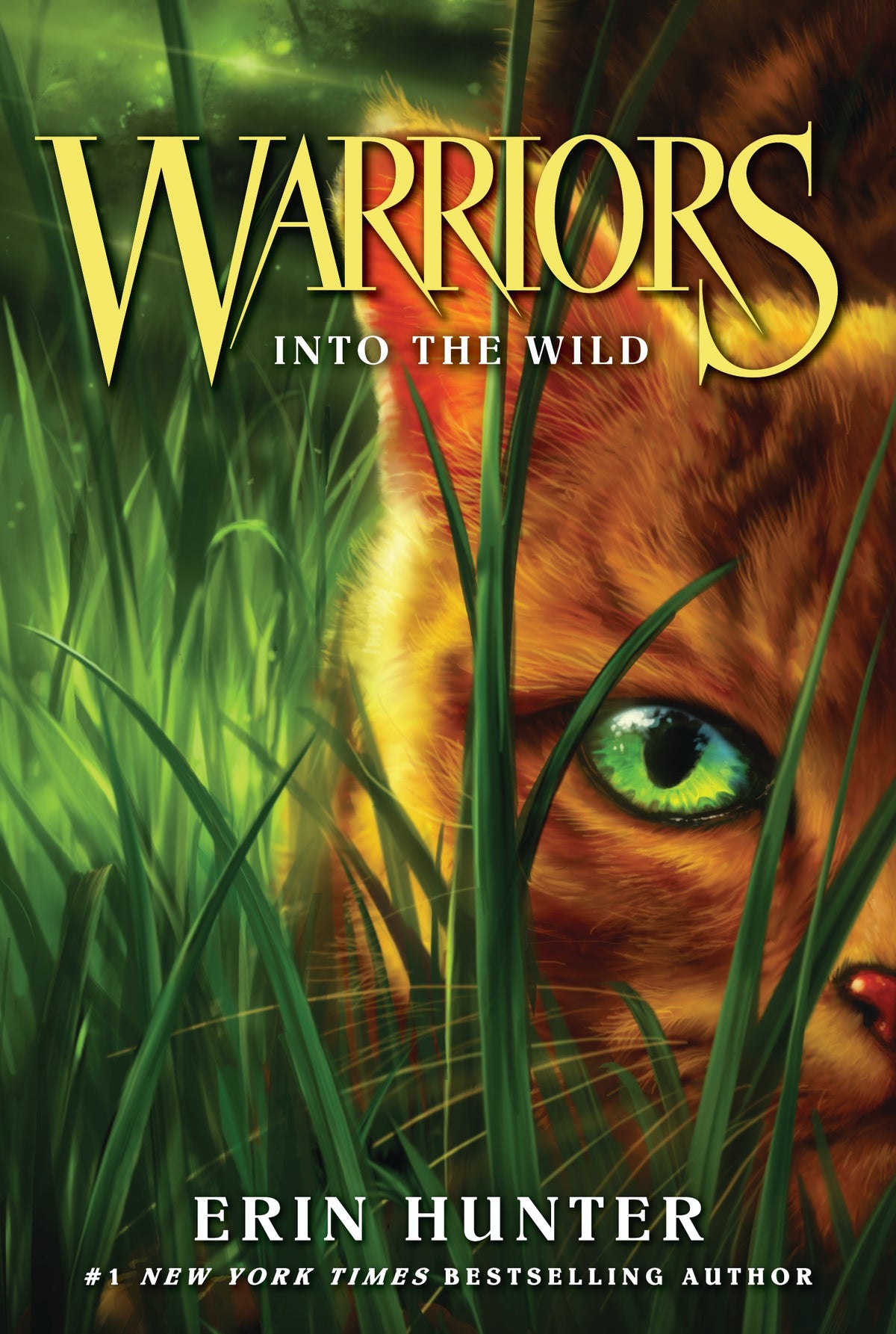 Warriors Into The Wild Book