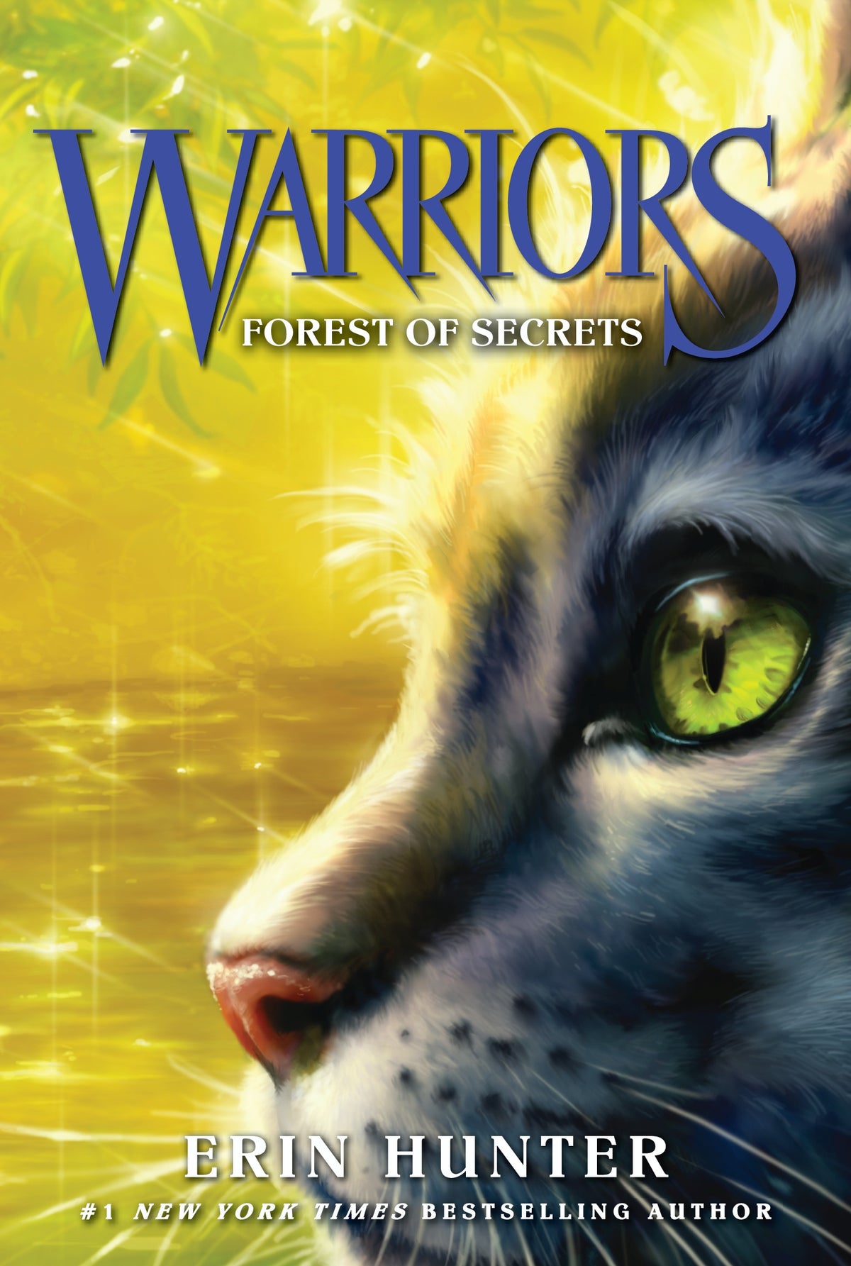 Warriors Forest Of Secrets Book