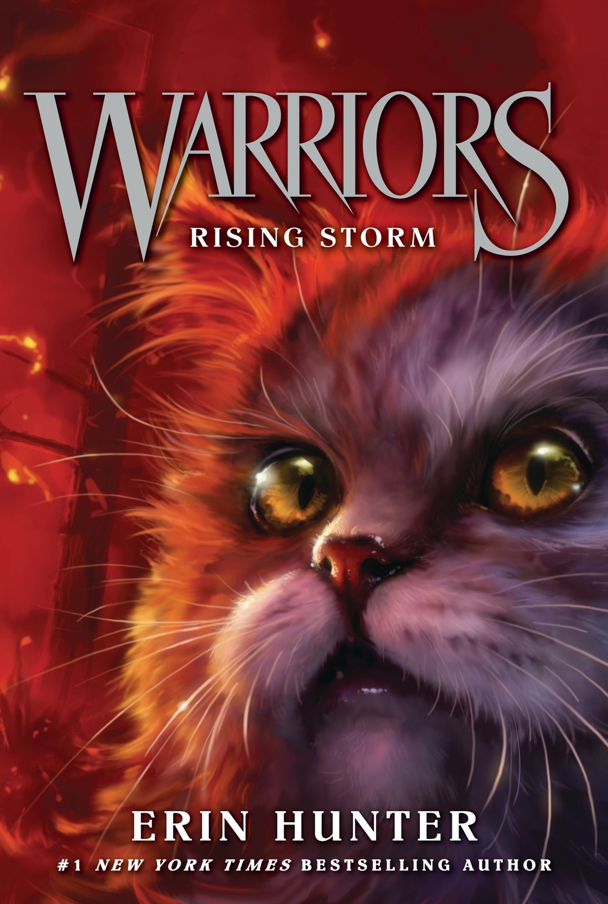 Warriors Rising Storm Book