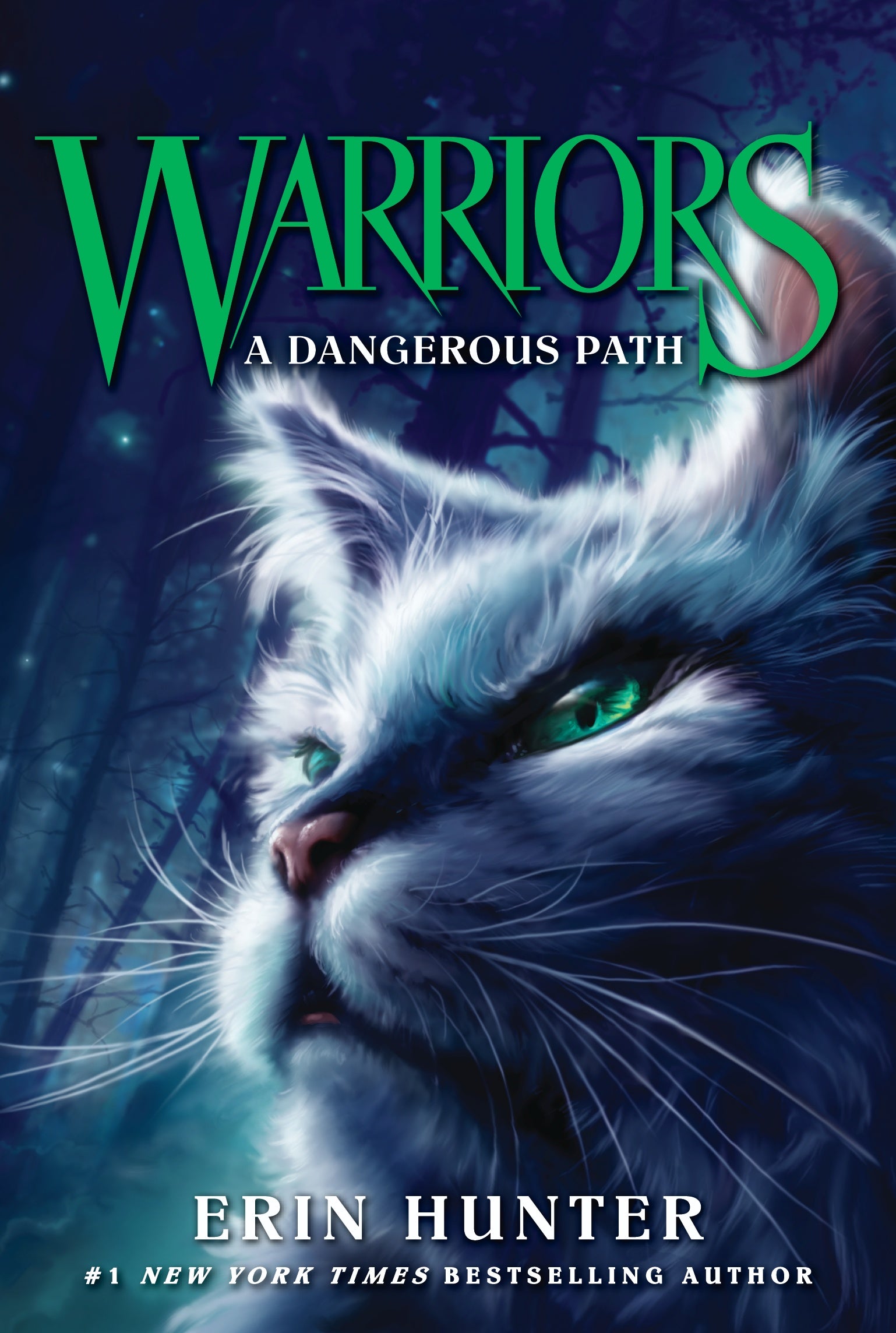 Warriors A Dangerous Path Book