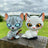 Blackstar & Jayfeather - Mini Collector Figures (Series 2)