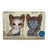 Blackstar & Jayfeather - Mini Collector Figures (Series 2)