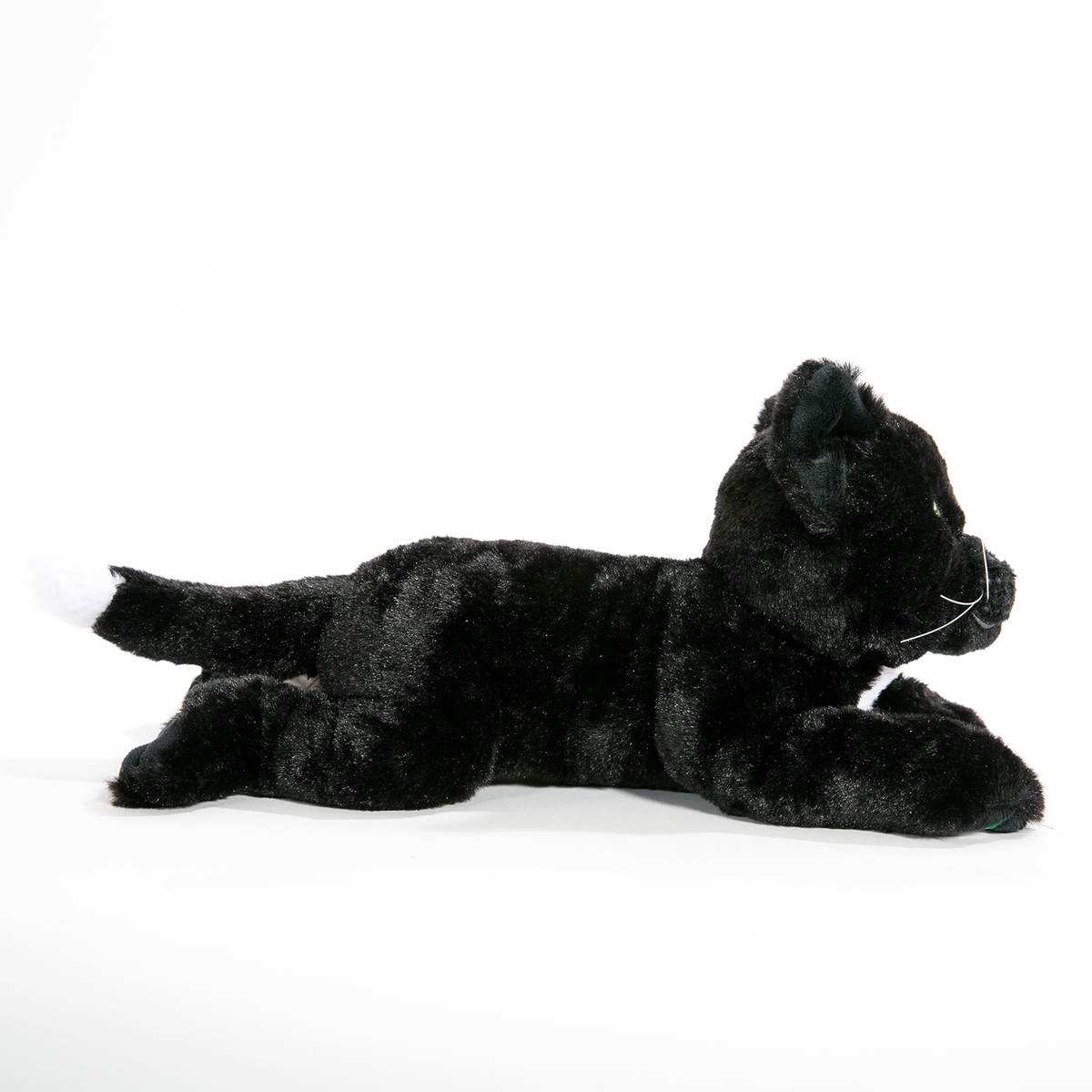 Ravenpaw Large Plush Cat Warriors Cats Store - USA