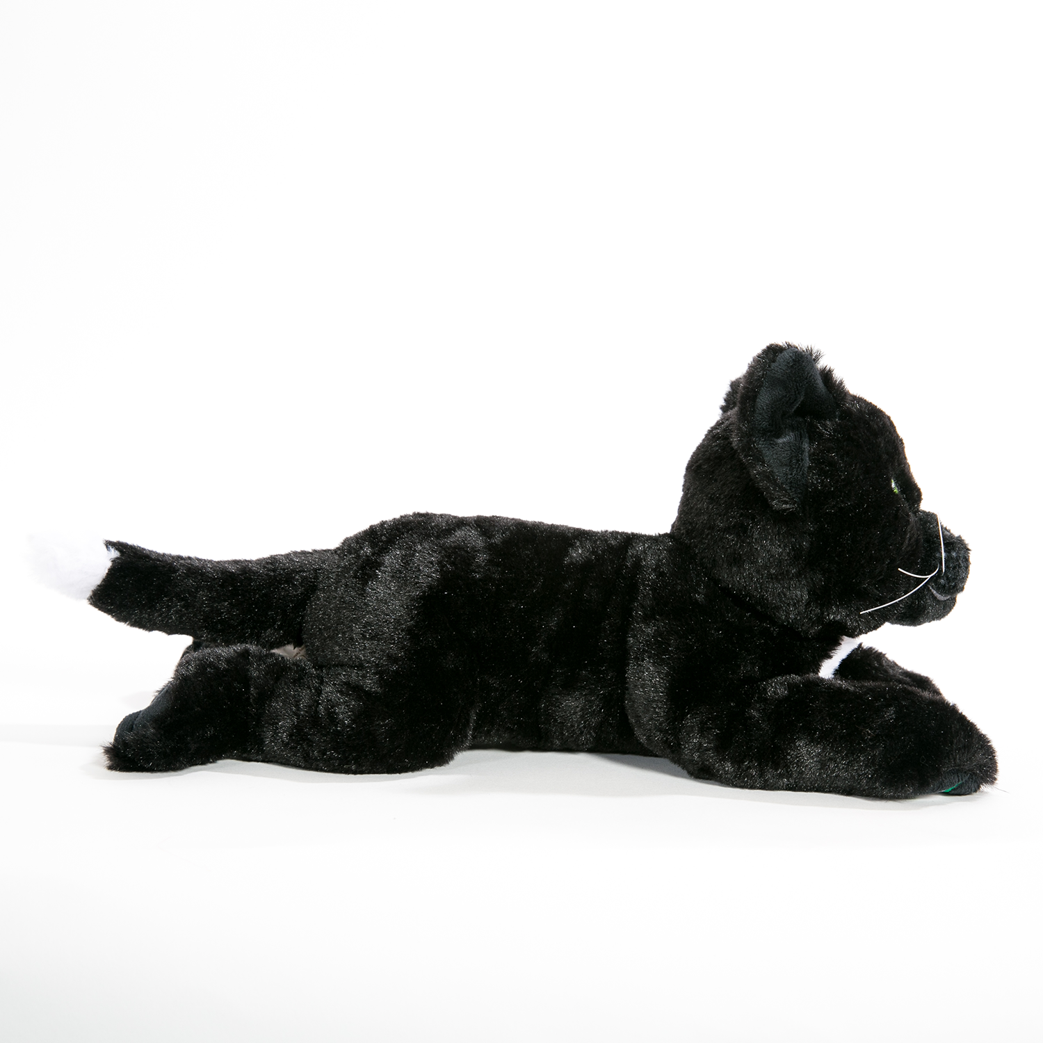 Ravenpaw Large Plush Cat - Warriors Cats Store - USA
