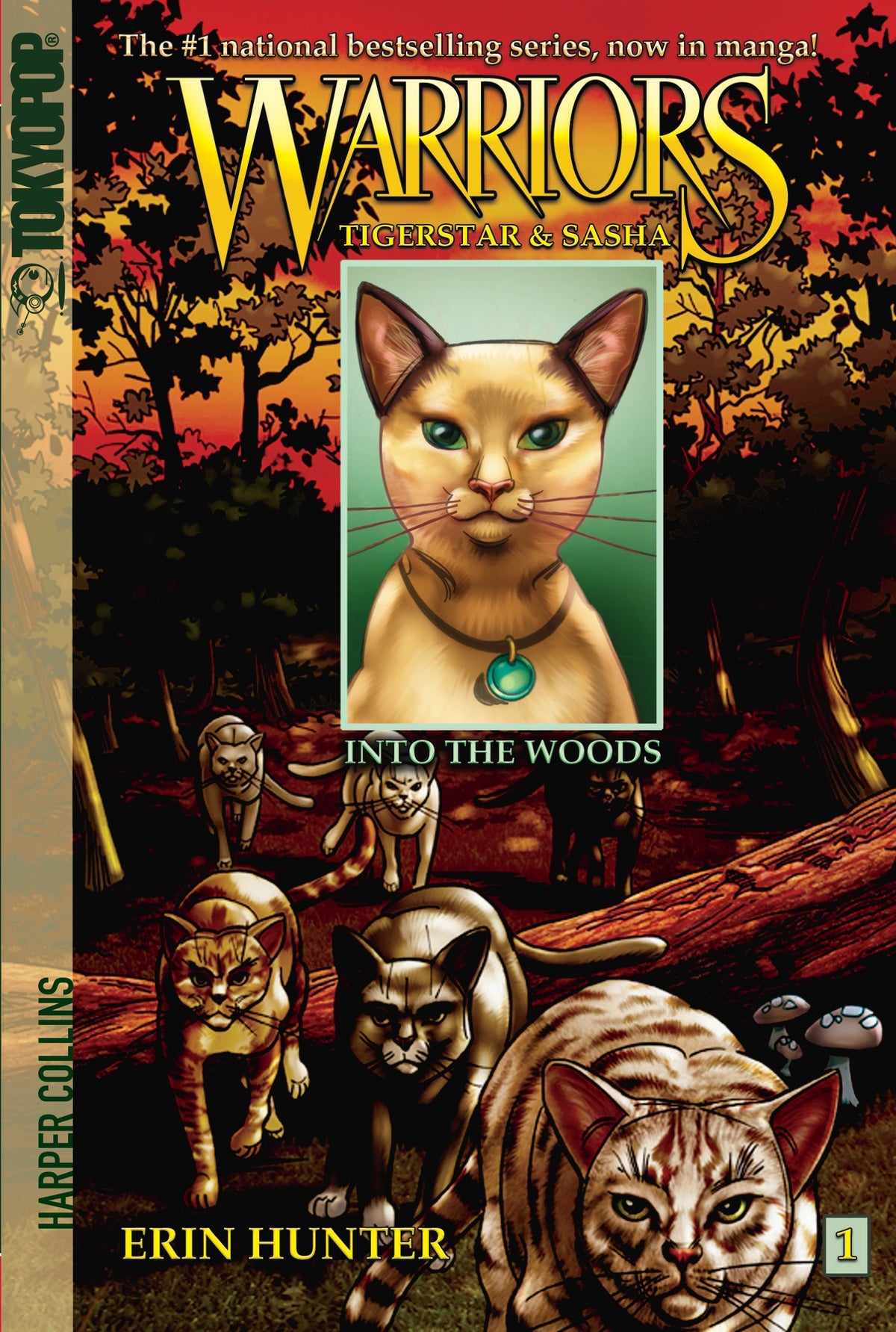 Warriors Manga Tigerstar And Sasha Into The Woods Book