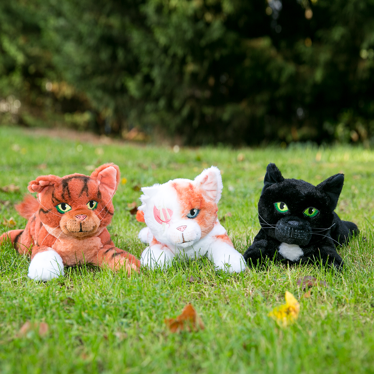 Ravenpaw Large Plush Cat Warrior Cats Store